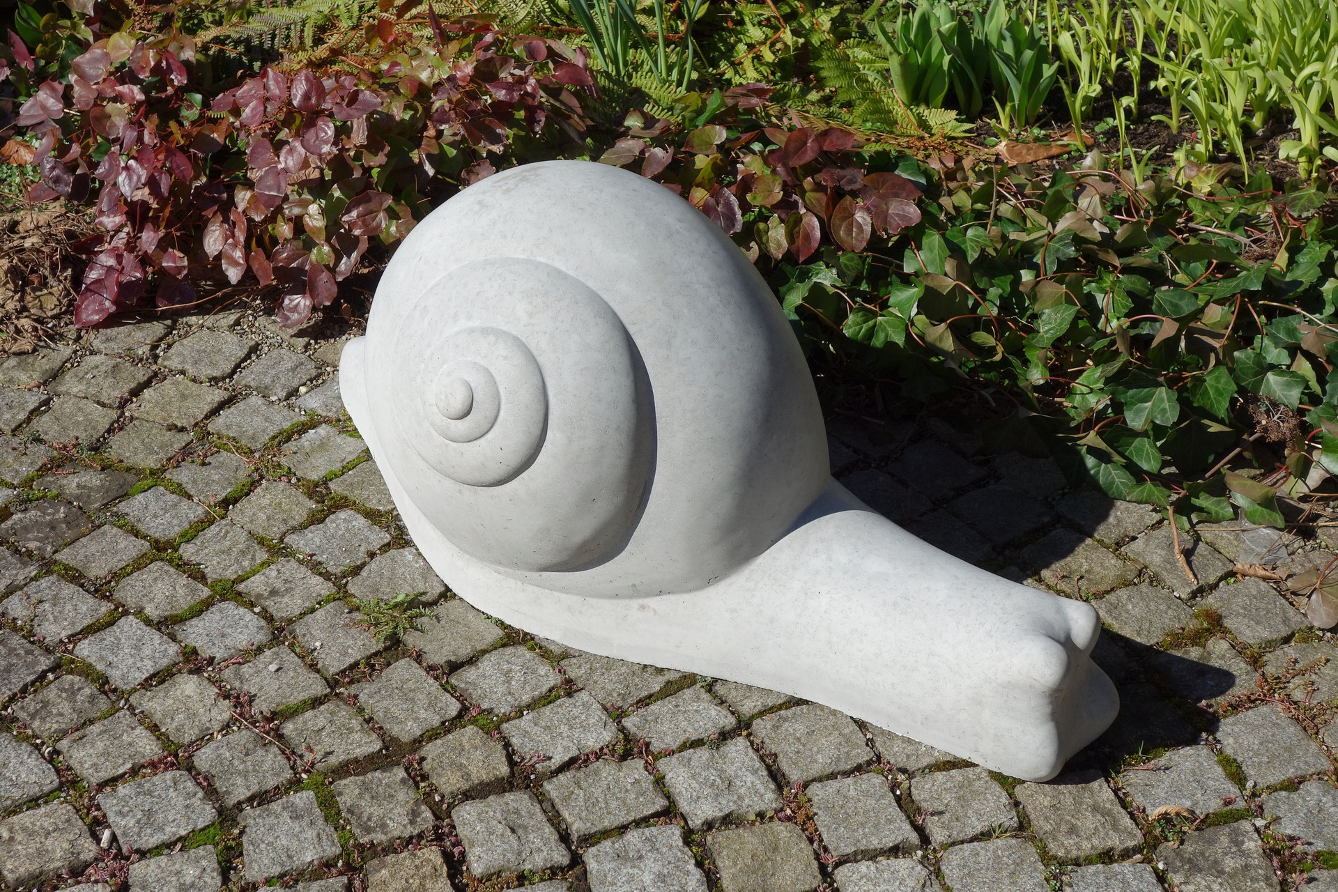 Streichelstein Schnecke Ansicht 4