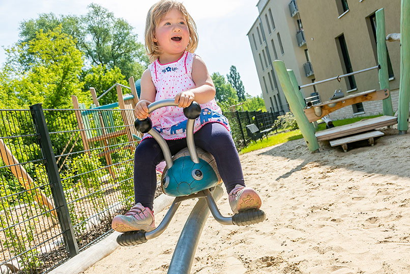 Doppelwippe Waldkäfer, Eiche NRO117 Ansicht 2