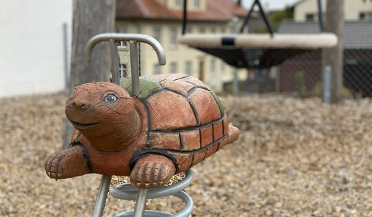 Schildkröte