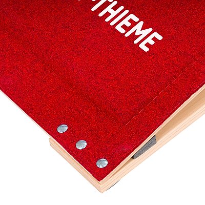 Sport-Thieme Sprungbrett „Pro“ Ansicht 3