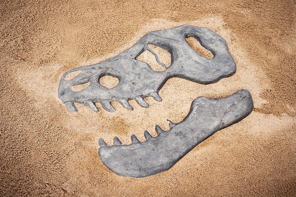 Dino-Platte T-Rex
