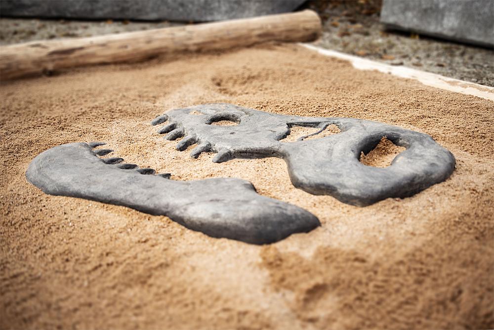 Dino-Platte T-Rex Ansicht 4