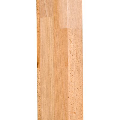Sport-Thieme Turnwand-Einzelelement „TuWa Kletterstangenteil“ Ansicht 4