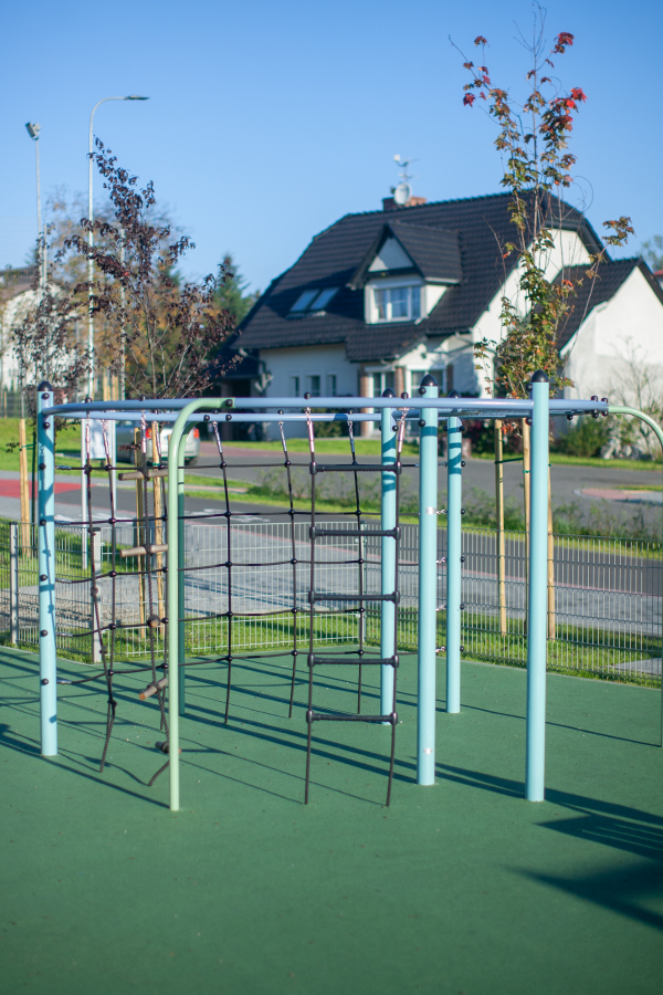 Delphin Kletteranlage Ansicht 3