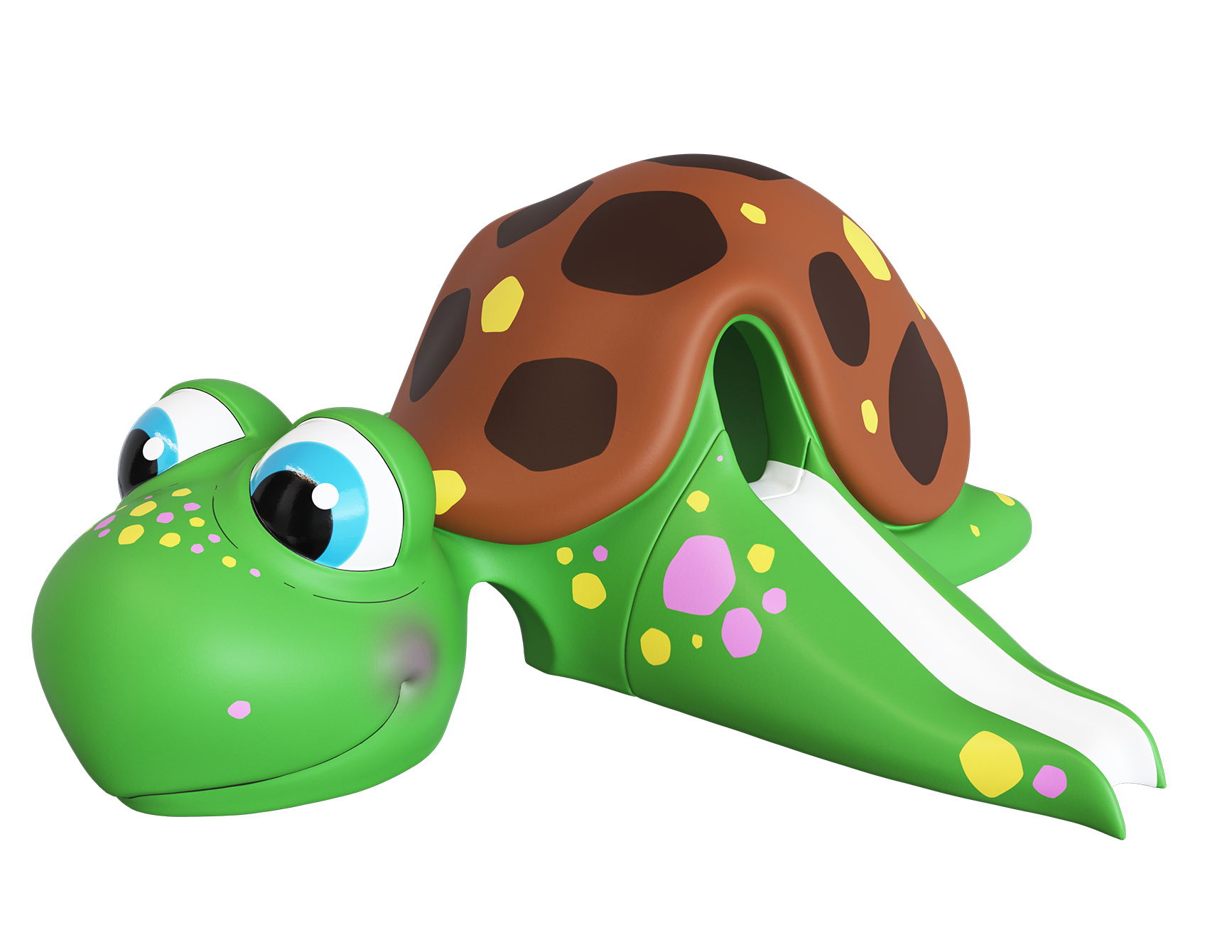 Die Schildkröte, Kiwi
