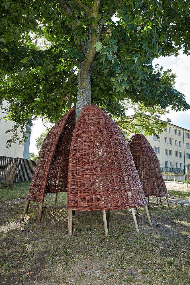 Weidenmuschel Ansicht 5