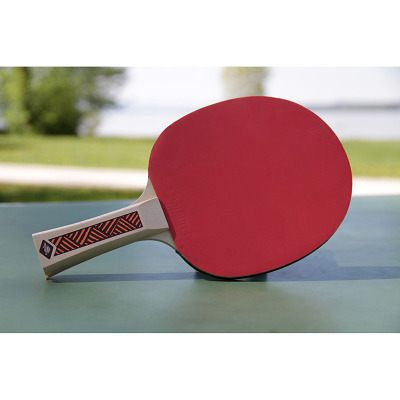 Donic Schildkröt Tischtennisschläger „Champs Line 300 FSC“ Ansicht 3