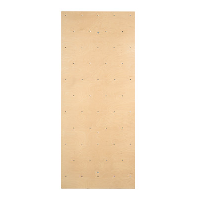 Sport-Thieme Kletterwand für Sprossenwand Ansicht 2
