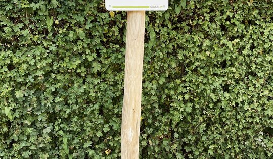 Infotafel 1 Standard - Holzpfosten, Deutsch