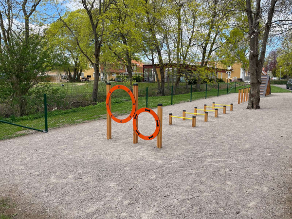 Doppelte Durchsprungringe für Hunde Ansicht 6