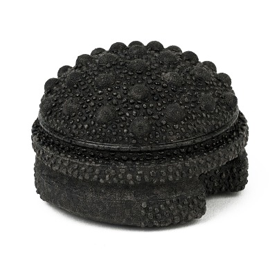 Blackroll Faszientool „Twister“, Sport-Thieme