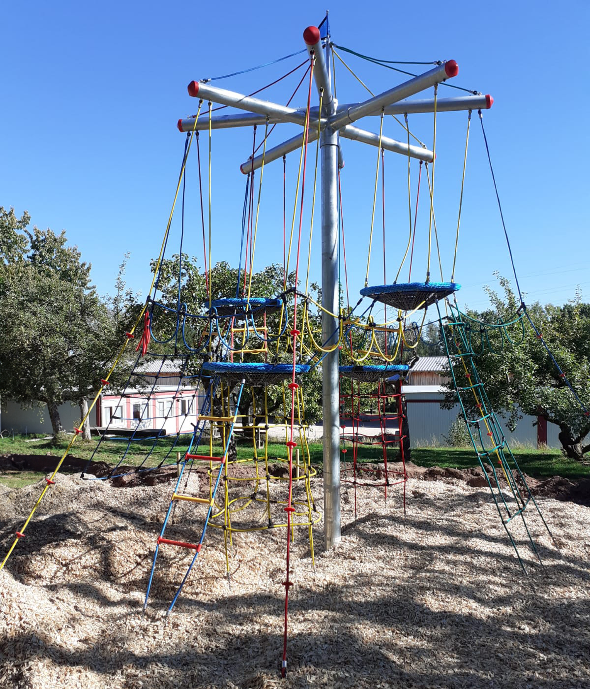 Vogelnestbaum