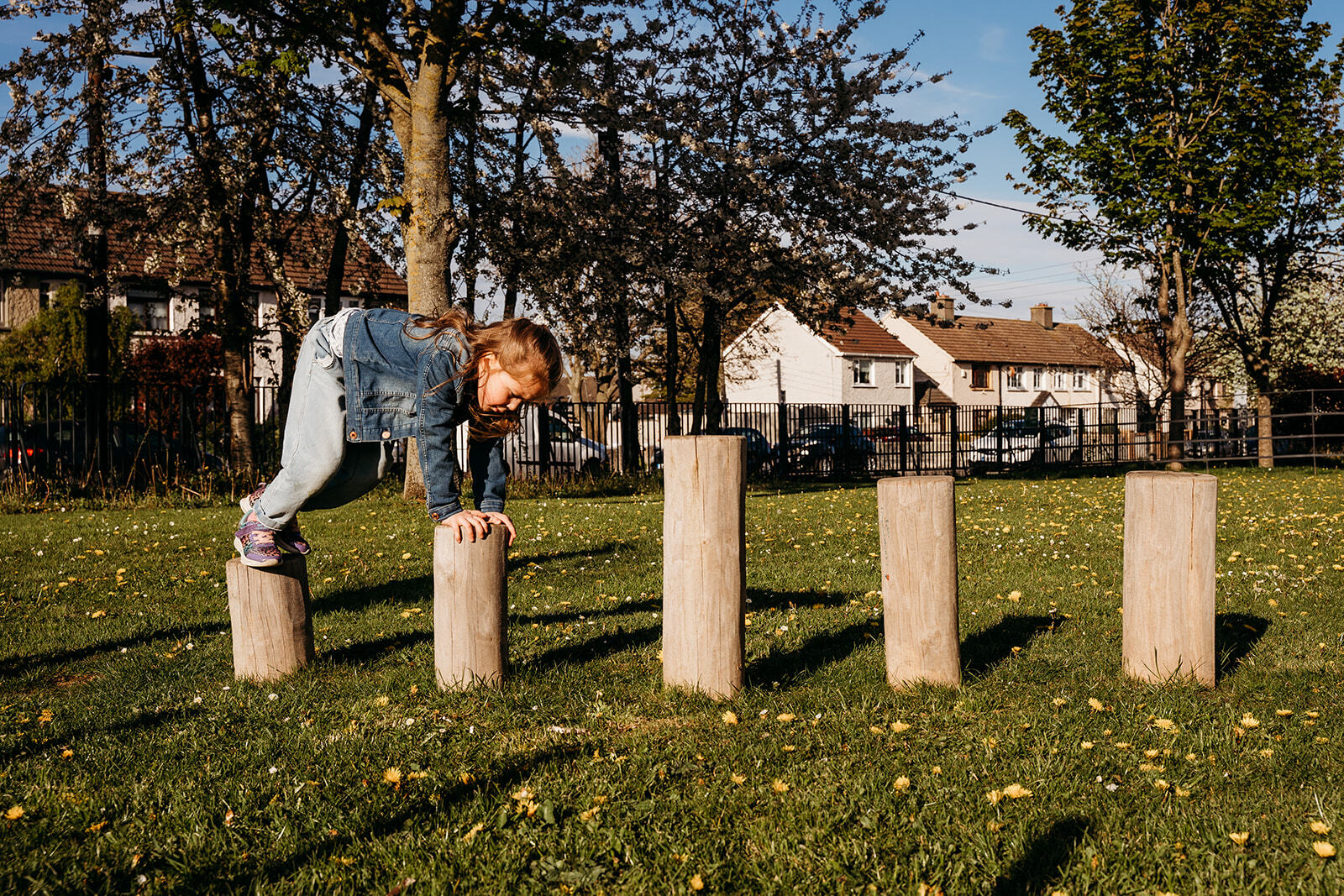 Poller aus Robinie Ansicht 5