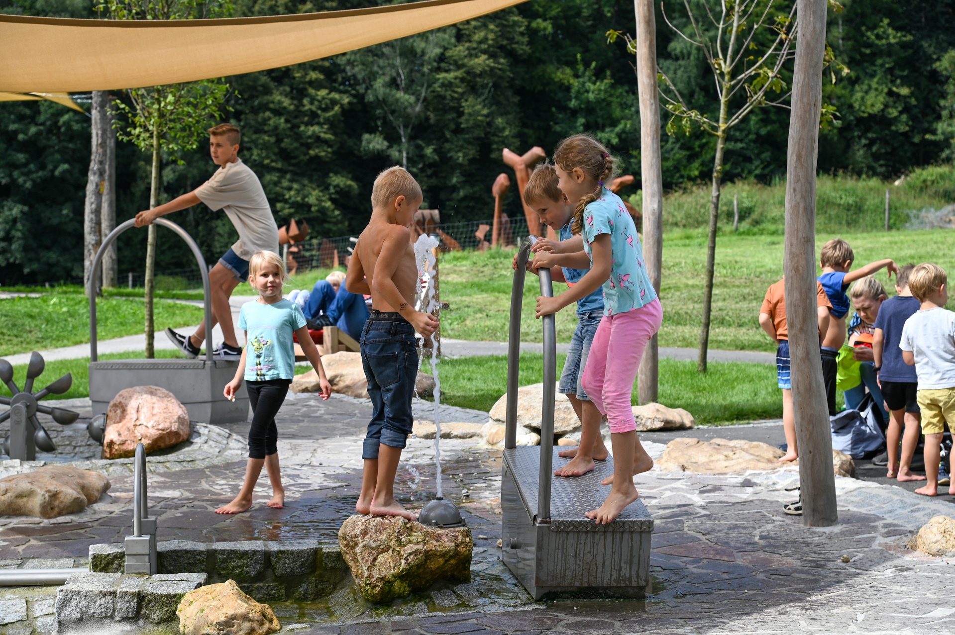 Wipp-Saug-Pumpe Ansicht 3