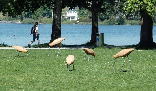 Der Spatz