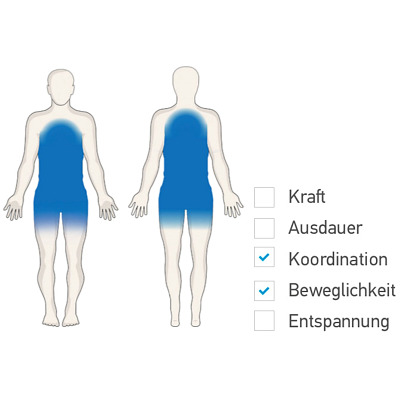 Saysu Outdoor-Fitnessgerät „Balance Seat - SE“ Ansicht 2