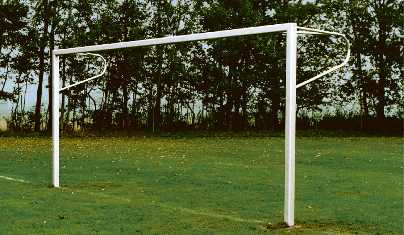 Jugendfussballtor fix, Fuchs Thun