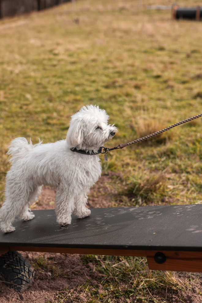 Schaukel für Hunde Ansicht 5