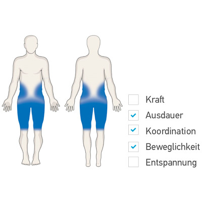 Saysu Outdoor-Fitnessgerät „Twister & Stepper - SE“ Ansicht 2