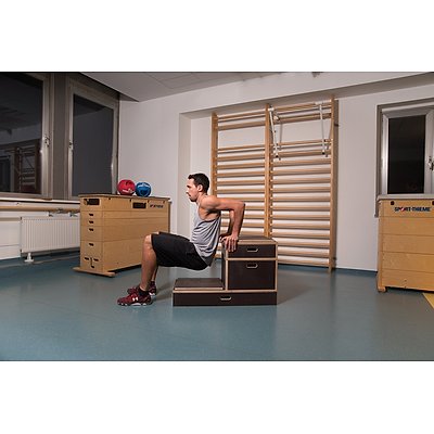 Sport-Thieme Plyobox „Kombi“ Ansicht 6