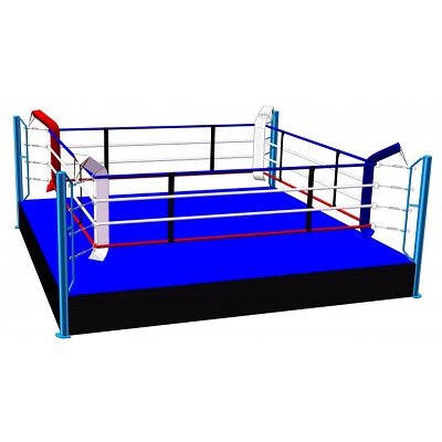 Sport-Thieme Boxring „Training“ Ansicht 2