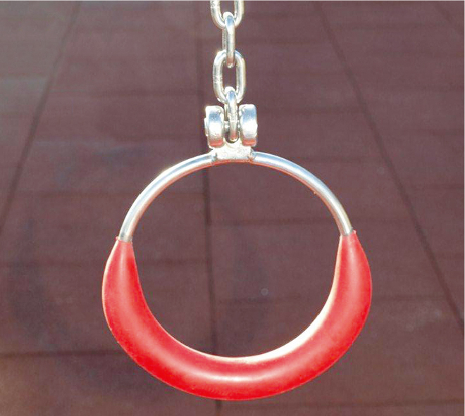 Ringe mit Ketten in Edelstahl, Fuchs Thun