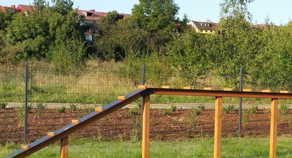 Hundeleiter mit Brücke Ansicht 5
