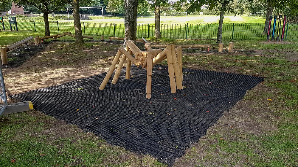 Kletterspinne Thekla Ansicht 1