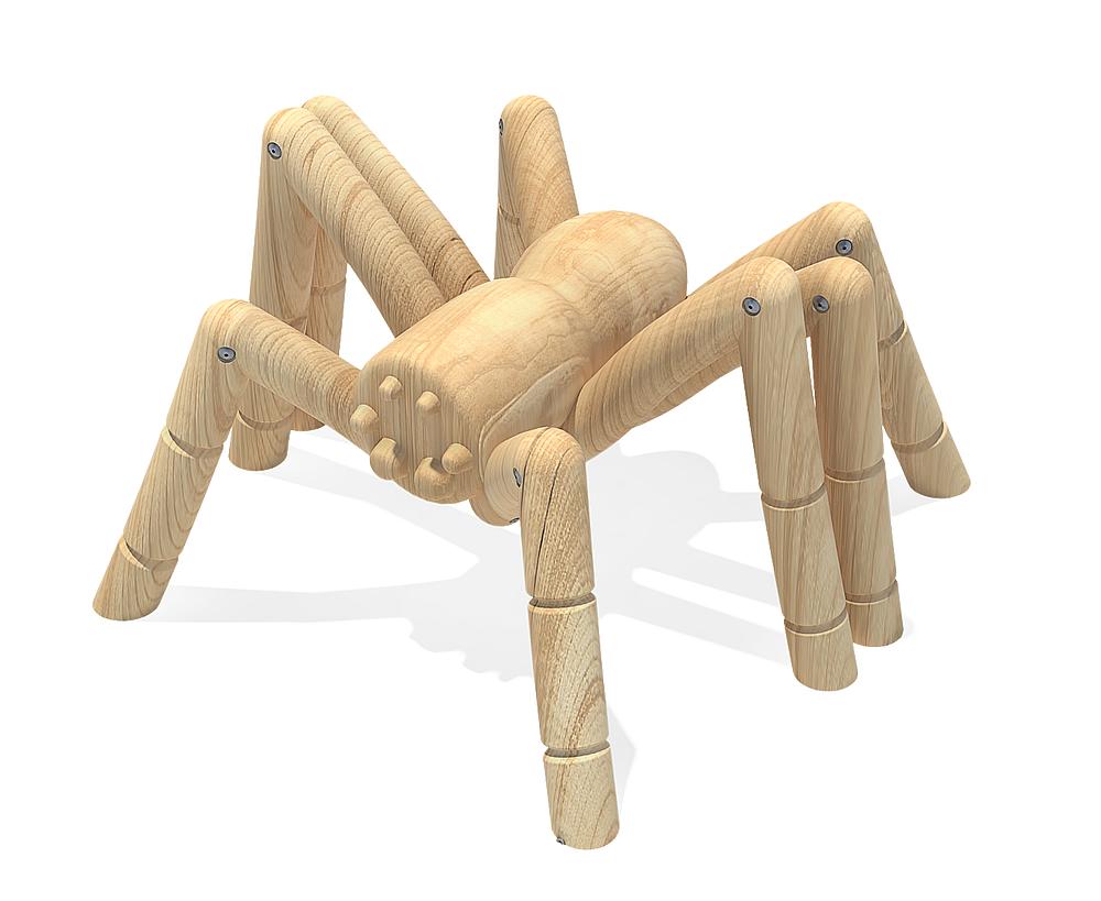 Kletterspinne Thekla Ansicht 4