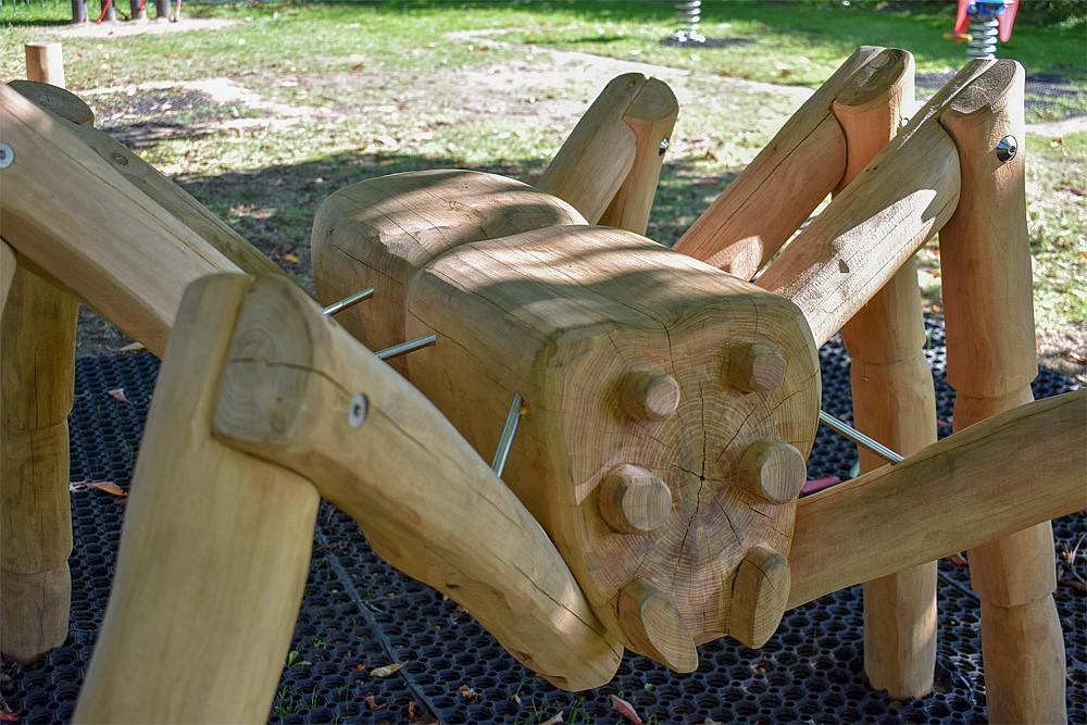 Kletterspinne Thekla Ansicht 6