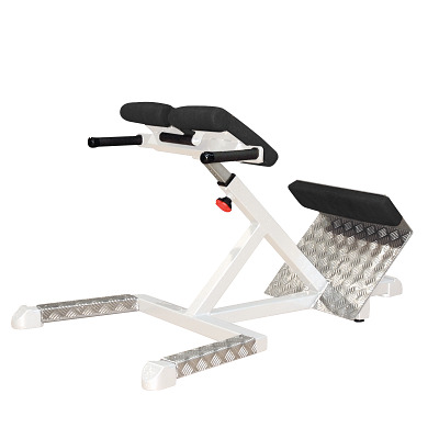 Sport-Thieme Rückenstrecker „SQ“, Sport-Thieme