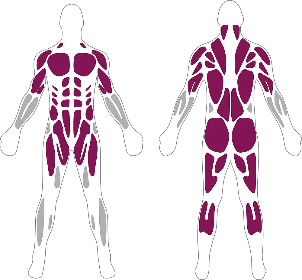 Calisthenics Sprungkiste groß Ansicht 5