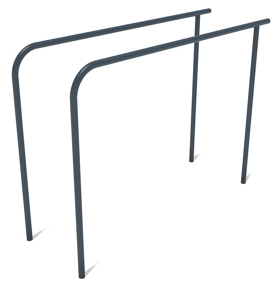 Calisthenics Barren