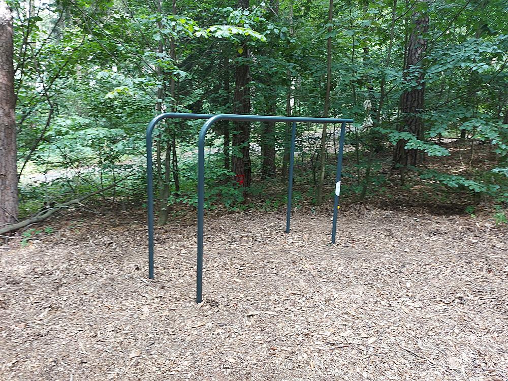Calisthenics Barren Ansicht 5