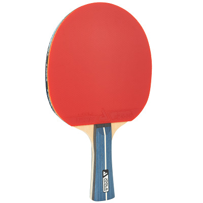 Joola Tischtennisschläger „Team Germany Premium“, Sport-Thieme