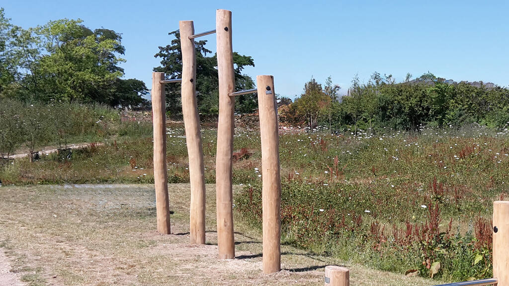 Klimmzugstangen Ansicht 3