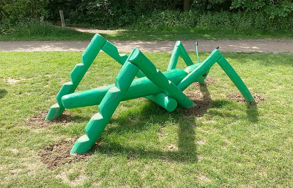 Grashüpfer Grilli Ansicht 5