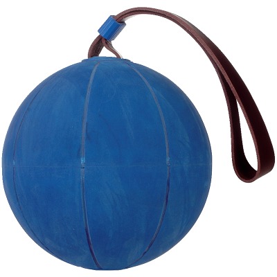 WV Schleuderball, Sport-Thieme