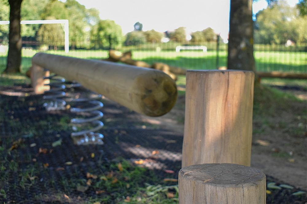 Robinienstamm Ø 10-14 cm Ansicht 4