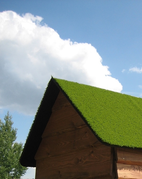 Veranda Spielhaus mit Grasdach Ansicht 3