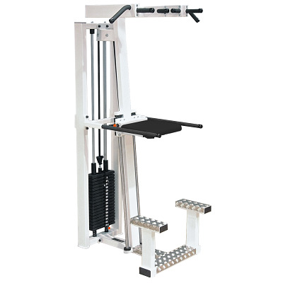 Sport-Thieme Klimmzug- und Dipstation „SQ“, Sport-Thieme