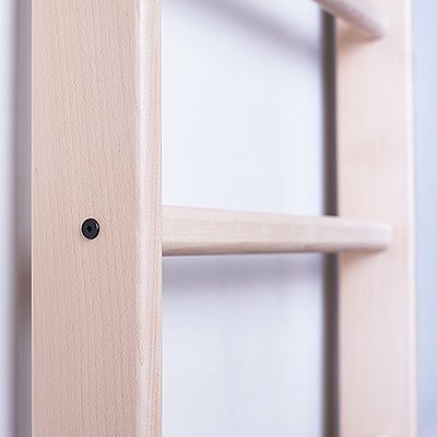 BenchK Sprossenwand „100“ Ansicht 2