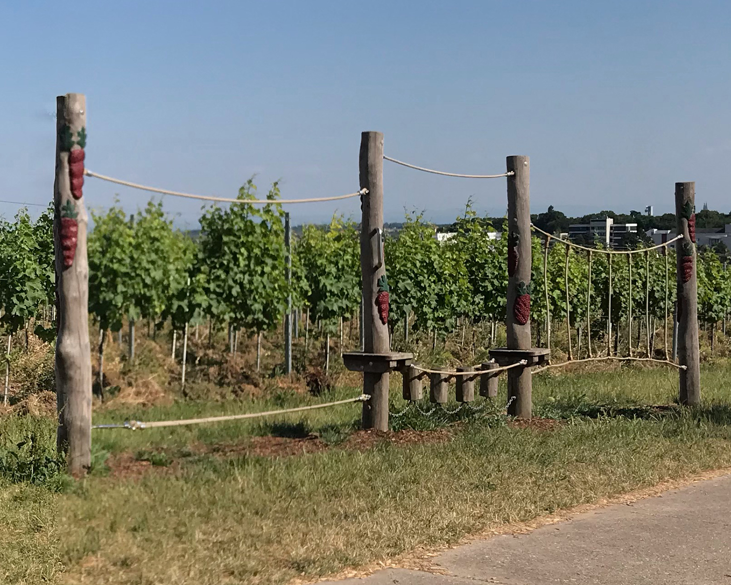 Balancierparcours Weinberg Ansicht 2