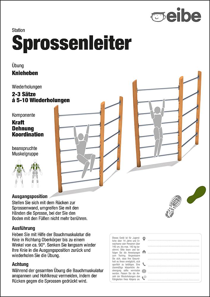 Trimm-dich-Pfad Trainingsschild Sprossenleiter Ansicht 4