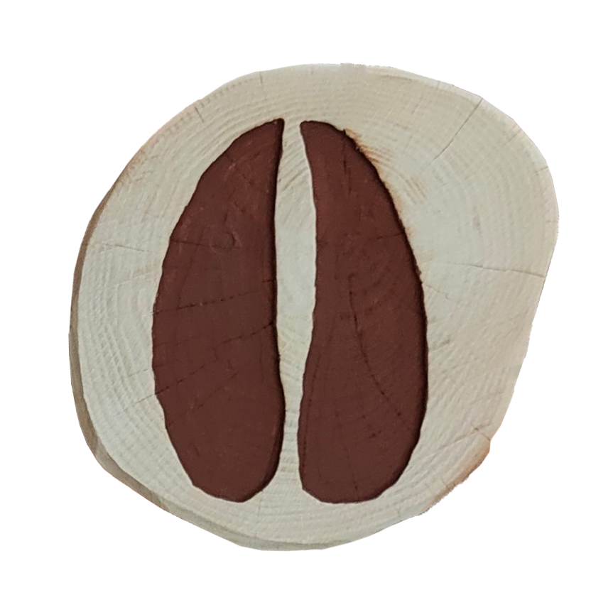 Pfostenmotiv Tierspur - Ansicht 5