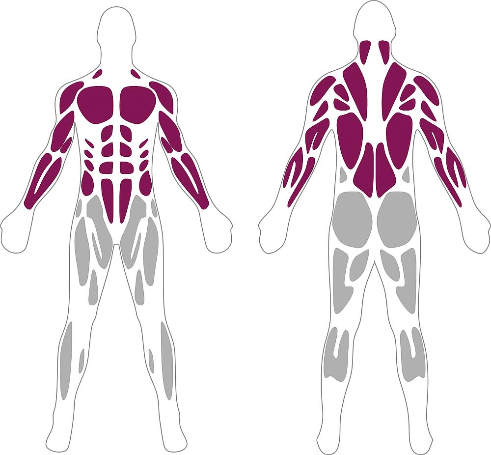 Calisthenics Parallets Ansicht 6