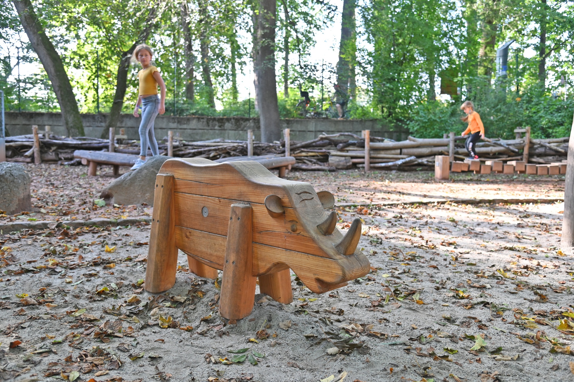 Nashorn Ansicht 5