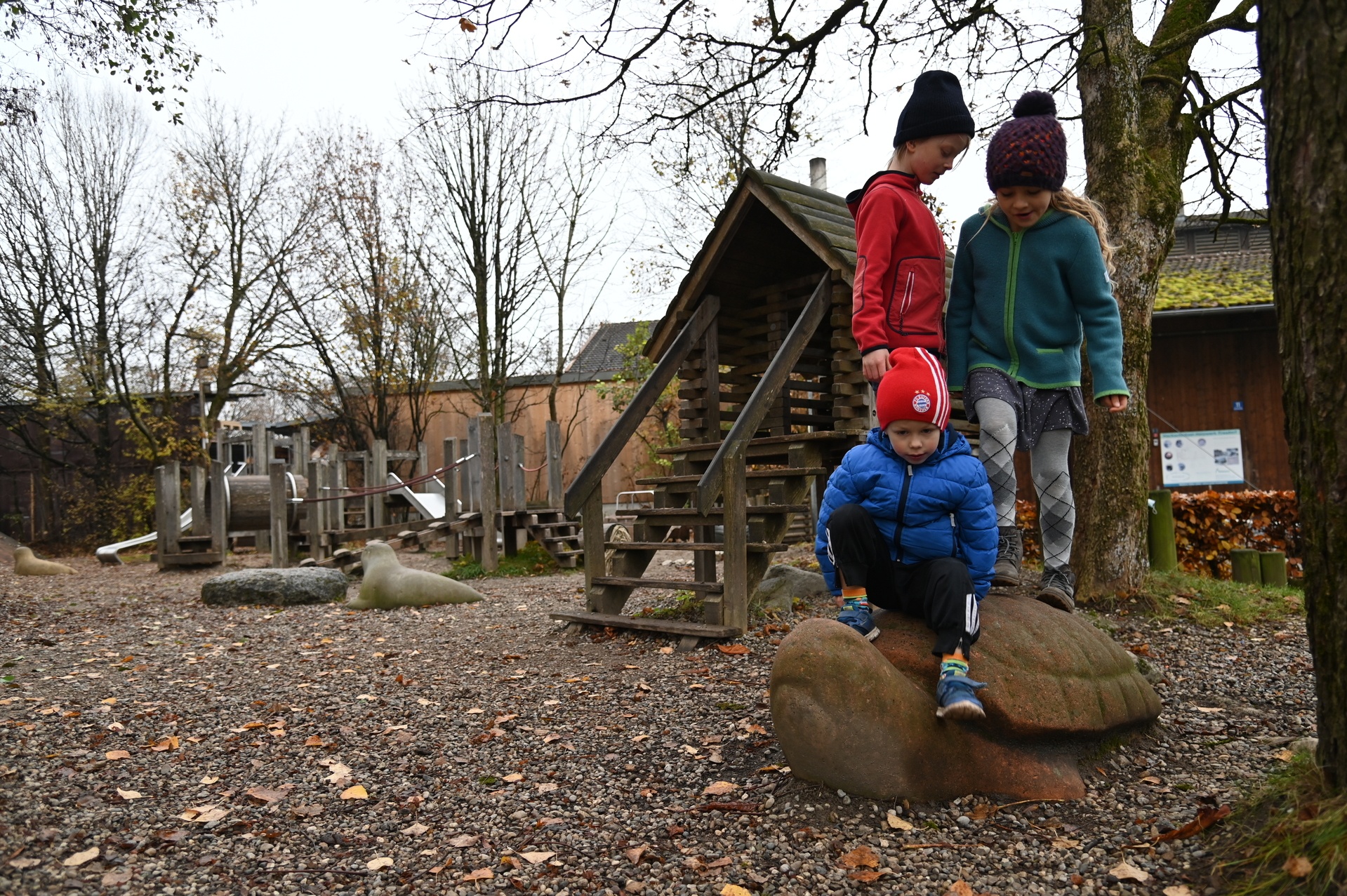 Streichelstein Schildkröte Ansicht 3
