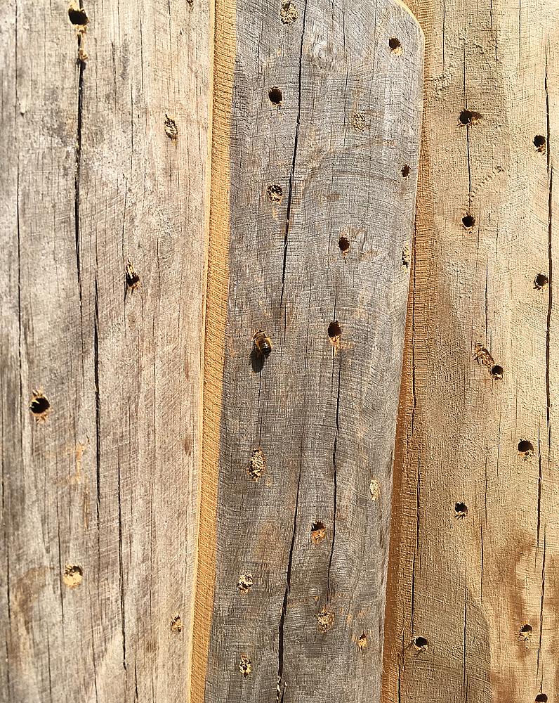 Insektenhotel Ansicht 5