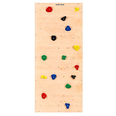 Sport-Thieme Turnwand-Einzelelement „TuWa Kletterwand“ Ansicht 2